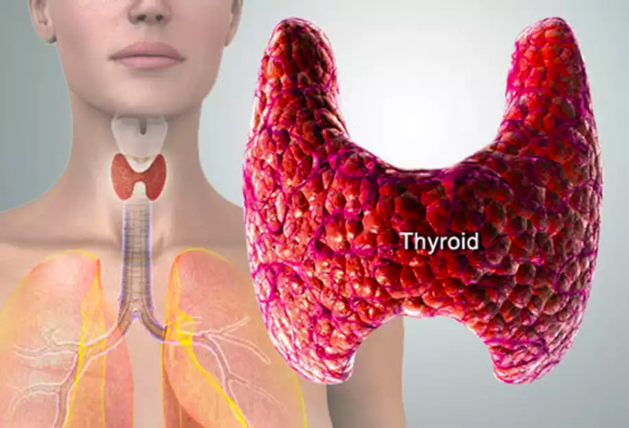 Thyroid Hormone Affects Conceiving